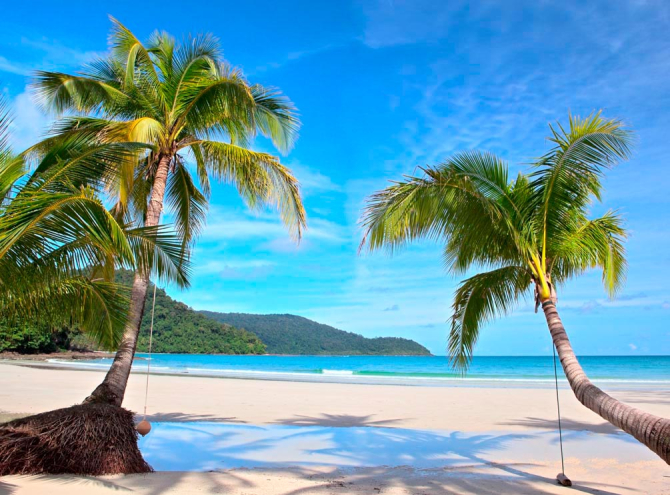 Фотошпалери Пляж і пальми