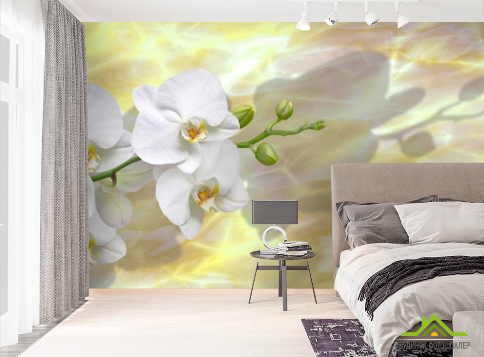 выбрать Фотошпалери білі орхідеї на жовтому фоні Фотошпалери Орхідеї на стіну