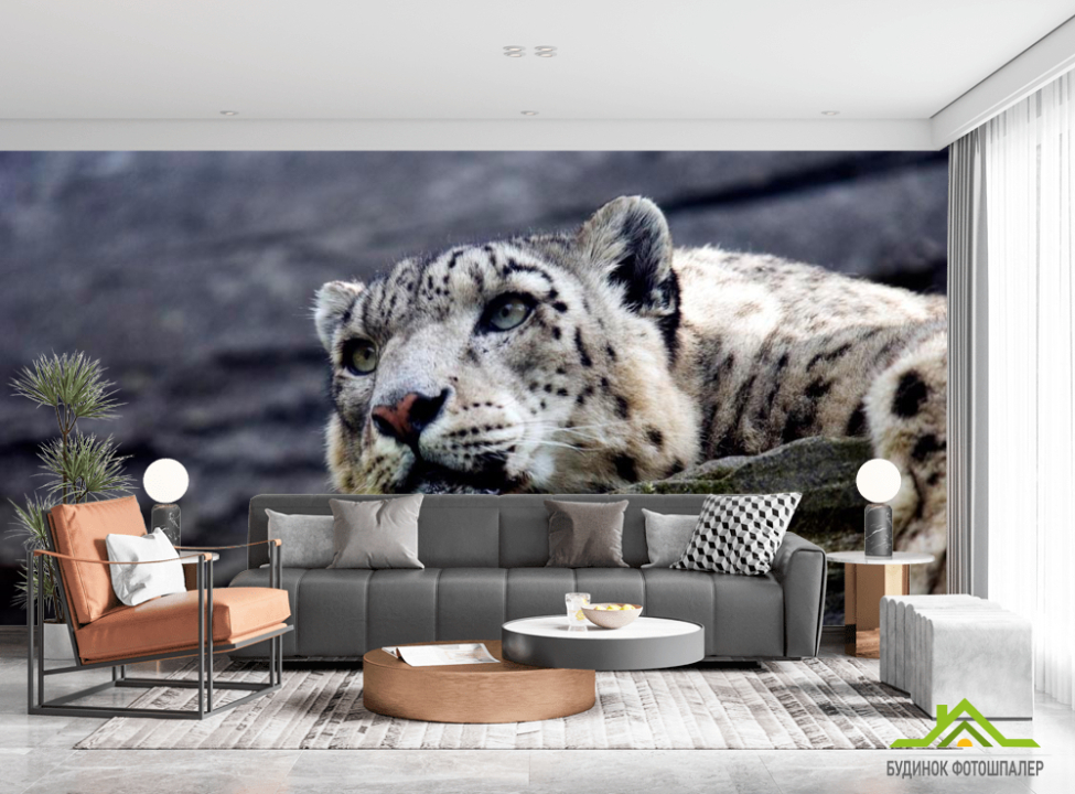 выбрать Фотообои Задумчивый барс Фотообои Барсы на стену
