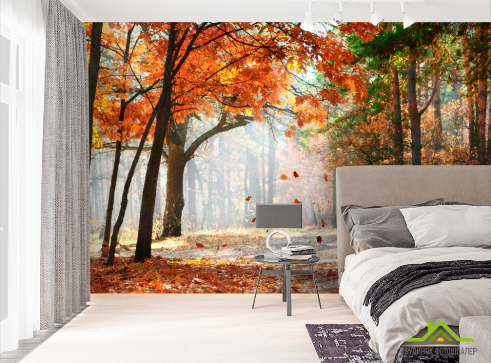 выбрать Фотообои Падают листья Фотообои лес на стену