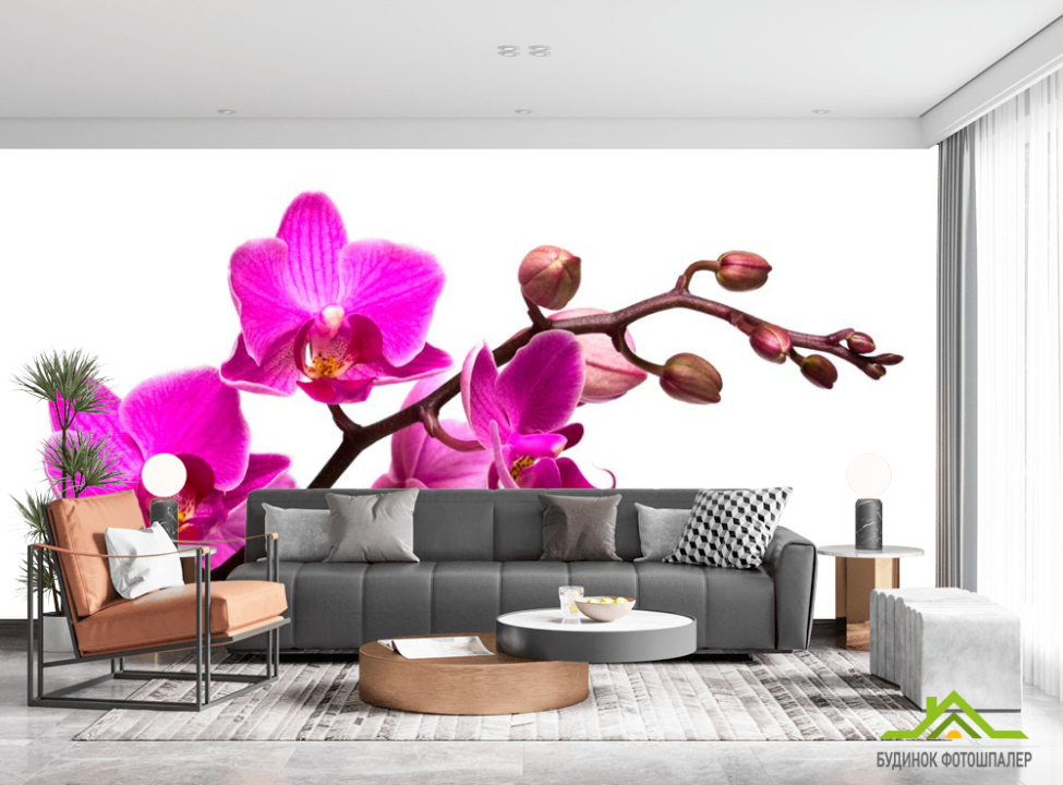 выбрать Фотообои Веточка розовой орхидеи Фотообои Орхидеи на стену