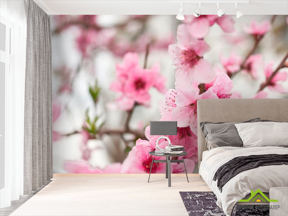 Фотошпалери Вишневі квіти навесні