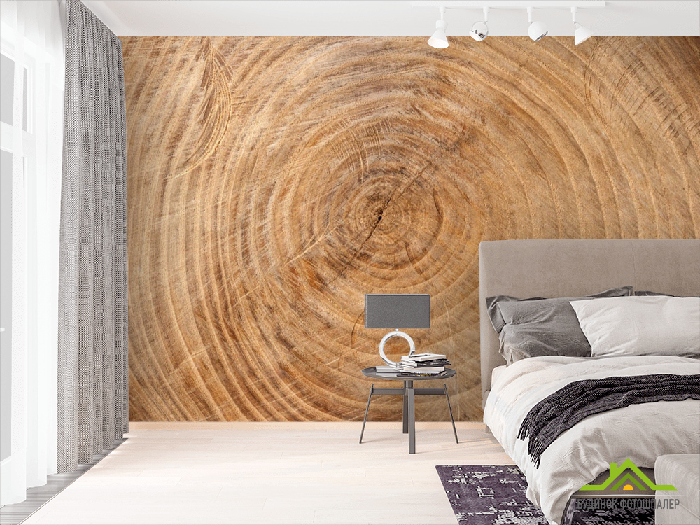 Фотошпалери Дерево в розрізі