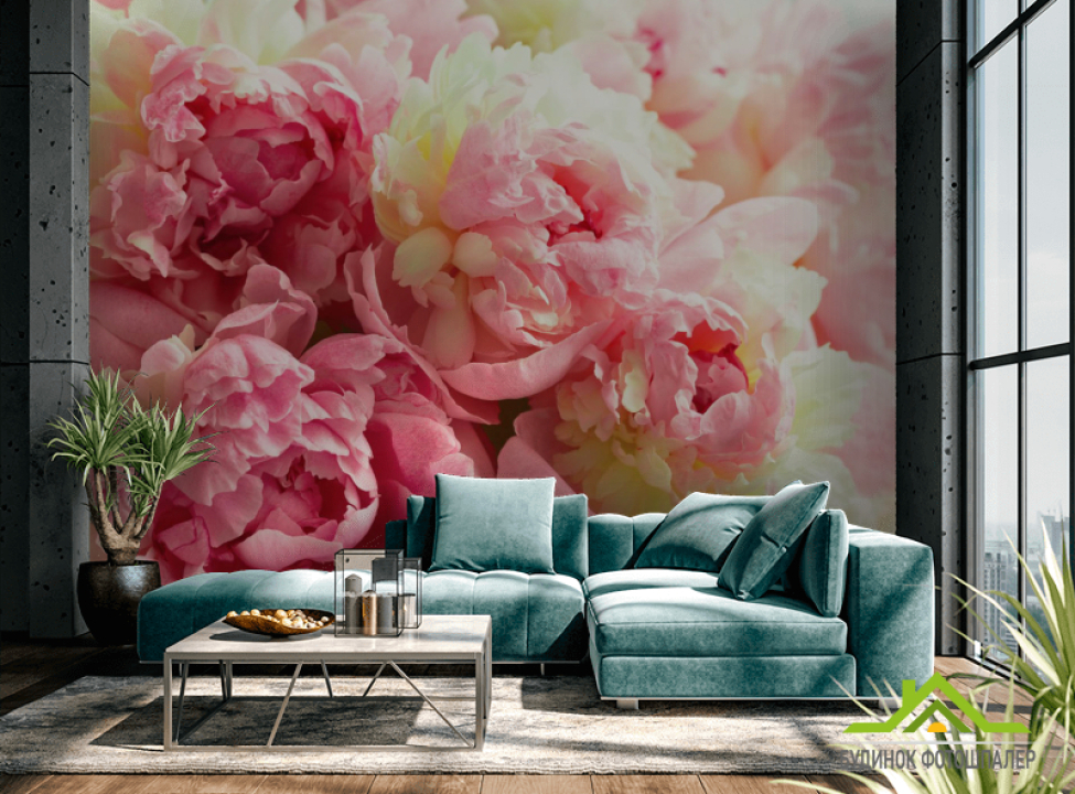 выбрать Фотообои Пионы яркие Фотообои Пионы на стену