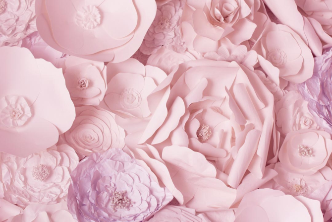 Фотообои бумажные розовые цветы