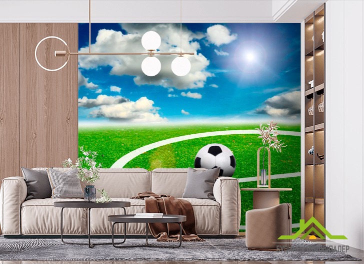 Фотошпалери М'яч на поле