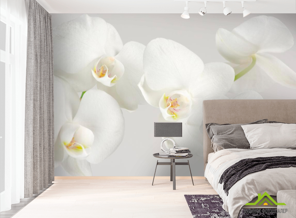выбрать Фотошпалери Орхідеї білосніжні цвітуть Фотошпалери Квіти на стіну