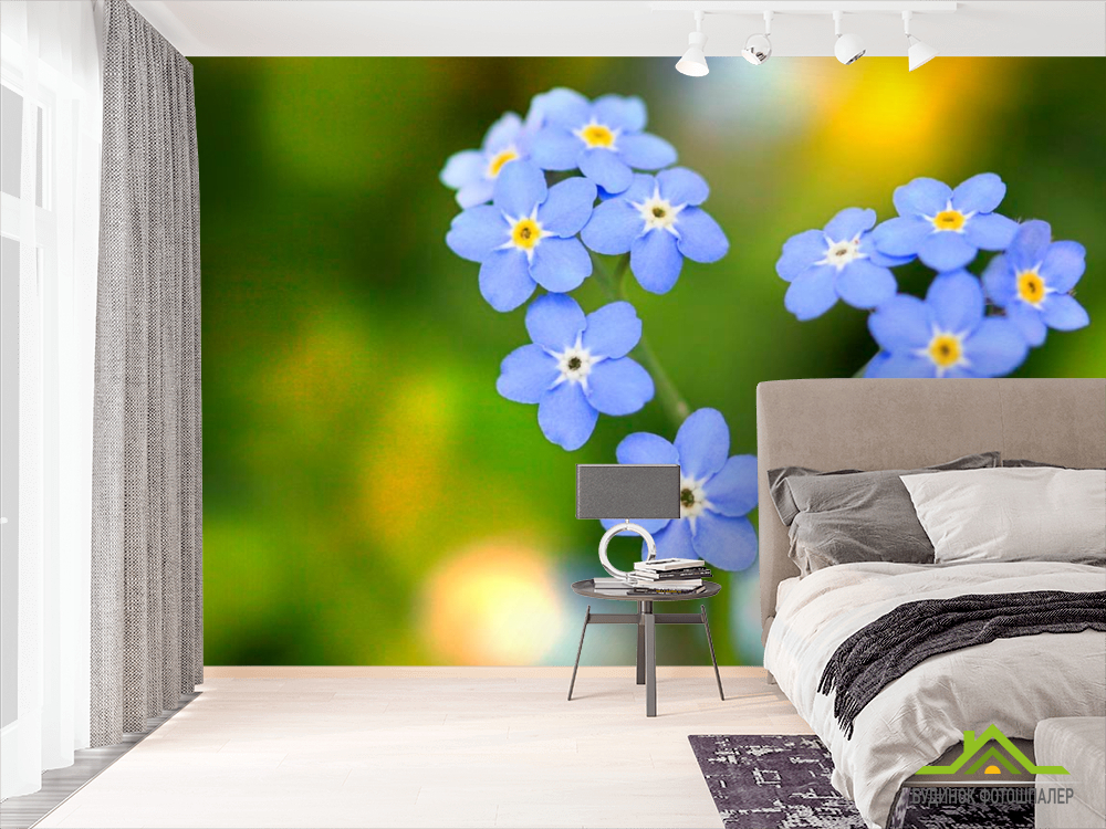 Фотошпалери Волошки