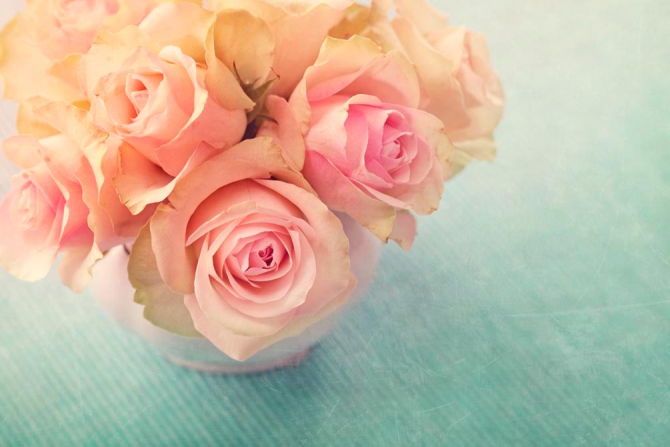 Фотообои Кремовых роз букет