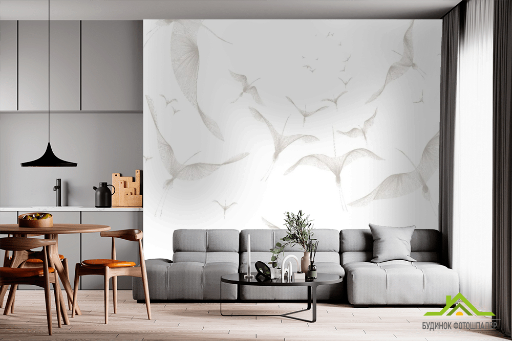 Фотообои птицы на белом фоне