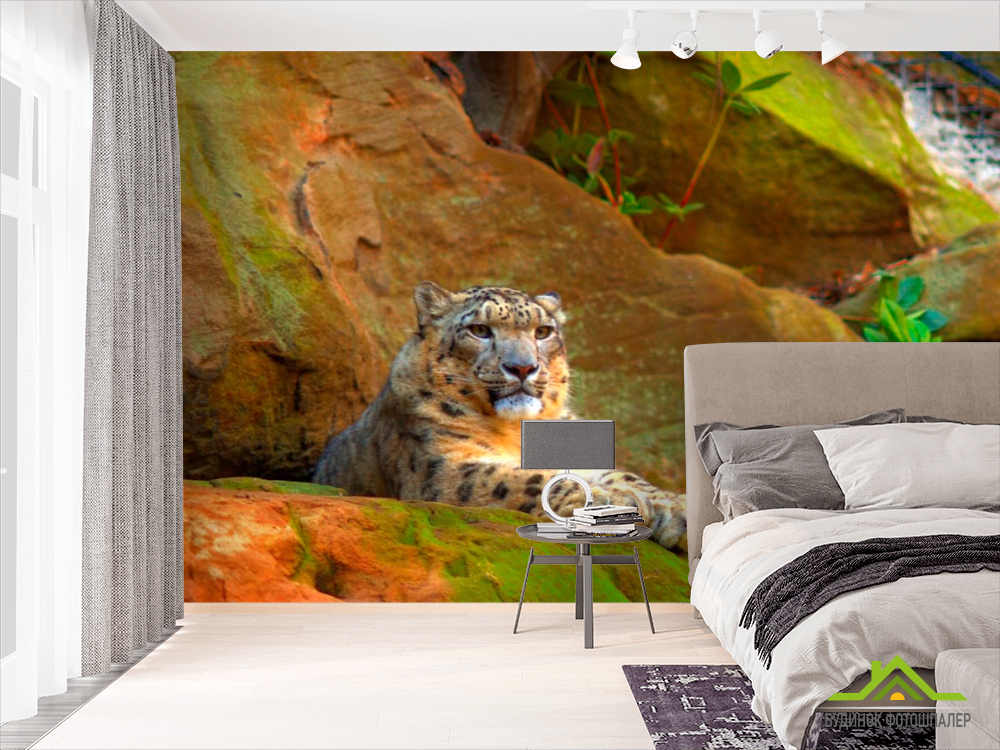 Фотообои Гепард на скалах