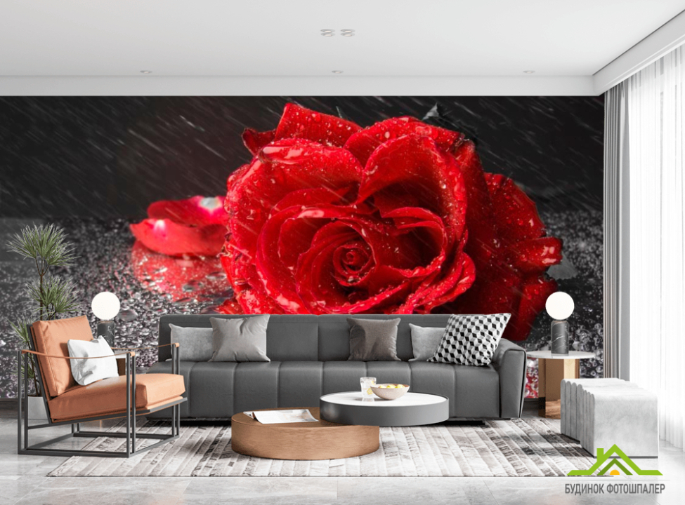 выбрать Фотошпалери Бардова троянда Фотошпалери Троянди на стіну