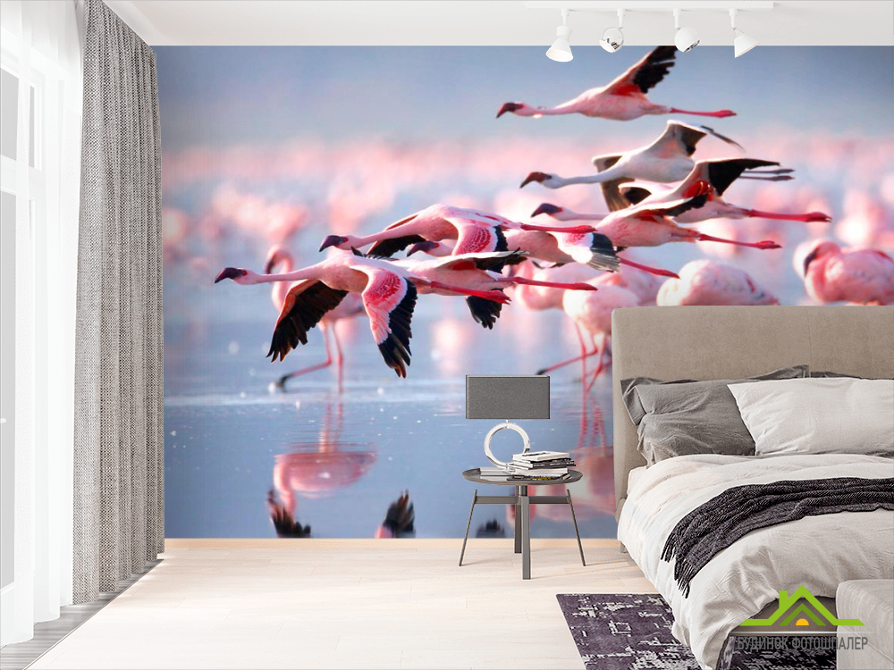 Фотошпалери Відлітають фламінго