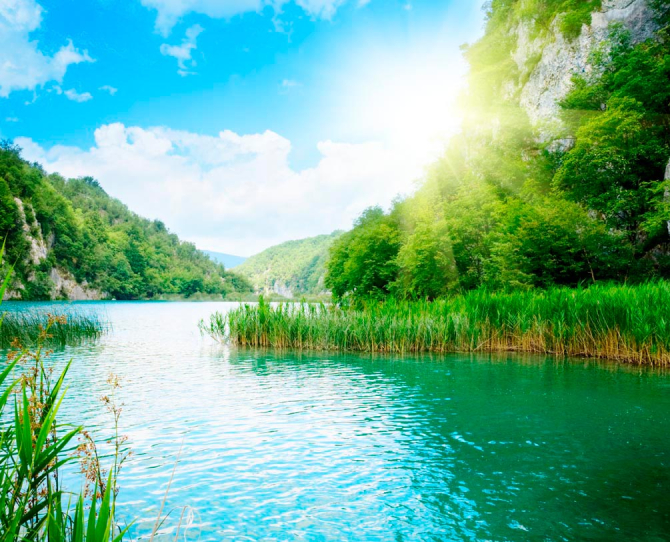 Фотошпалери Веде вода