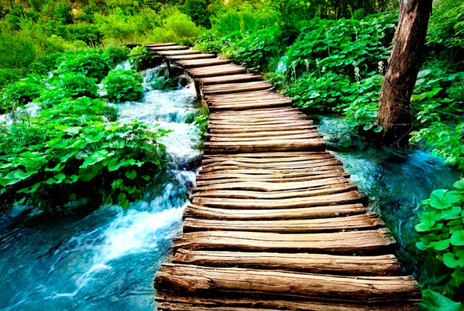 Фотошпалери Вода і міст