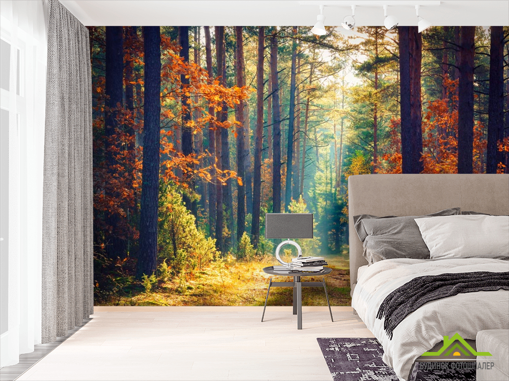 Фотошпалери вересневий ліс