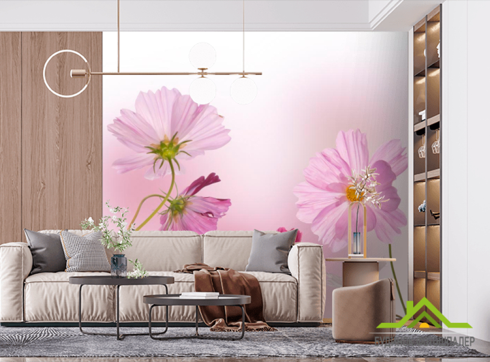 выбрать Фотообои Ромашки розовые и малиновые Фотообои Ромашки на стену