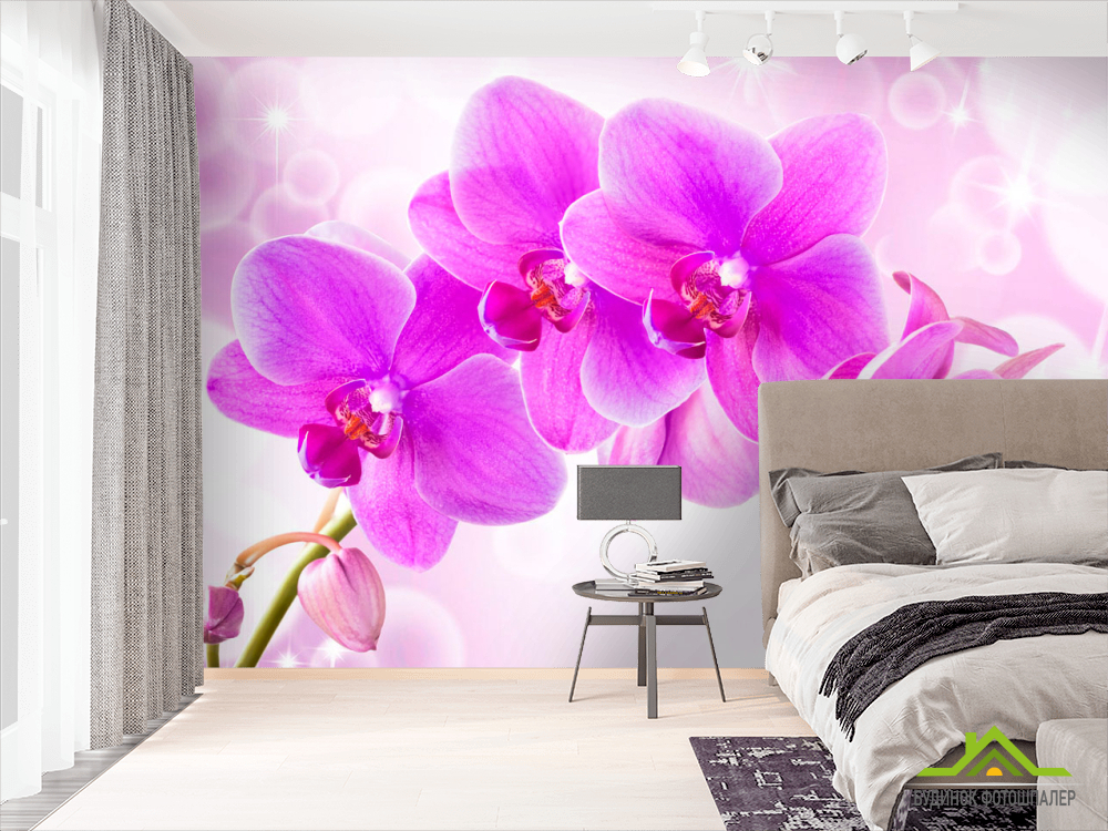 Фотообои Орхидеи
