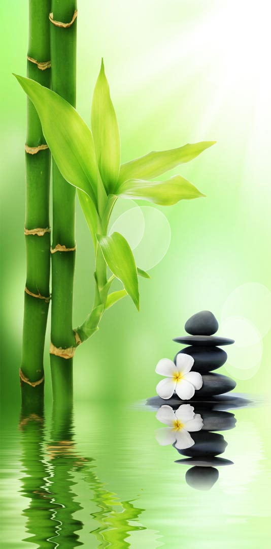 Фотообои бамбук в воде