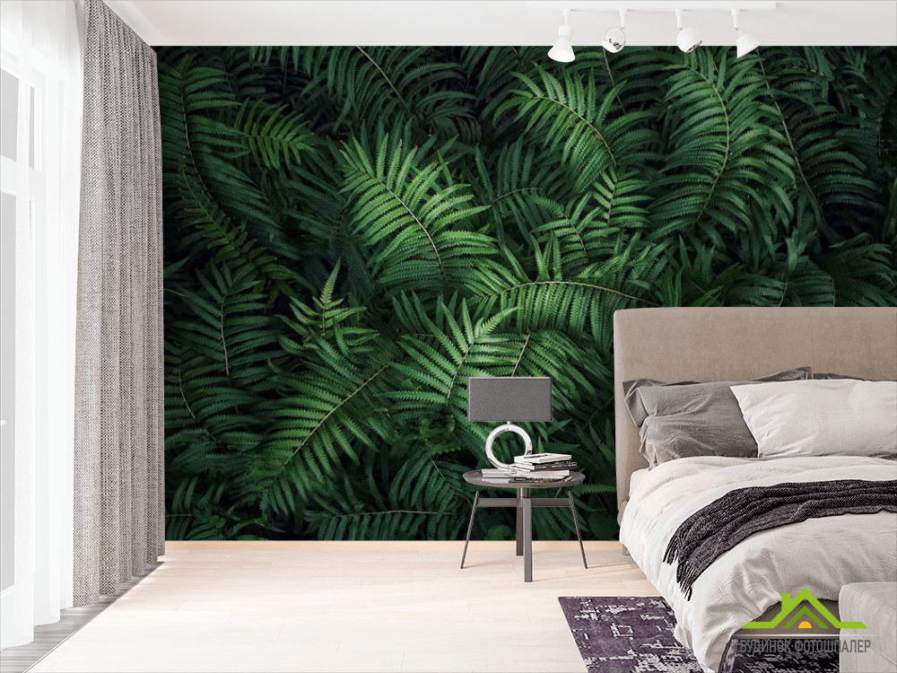 Фотообои Листья папоротника