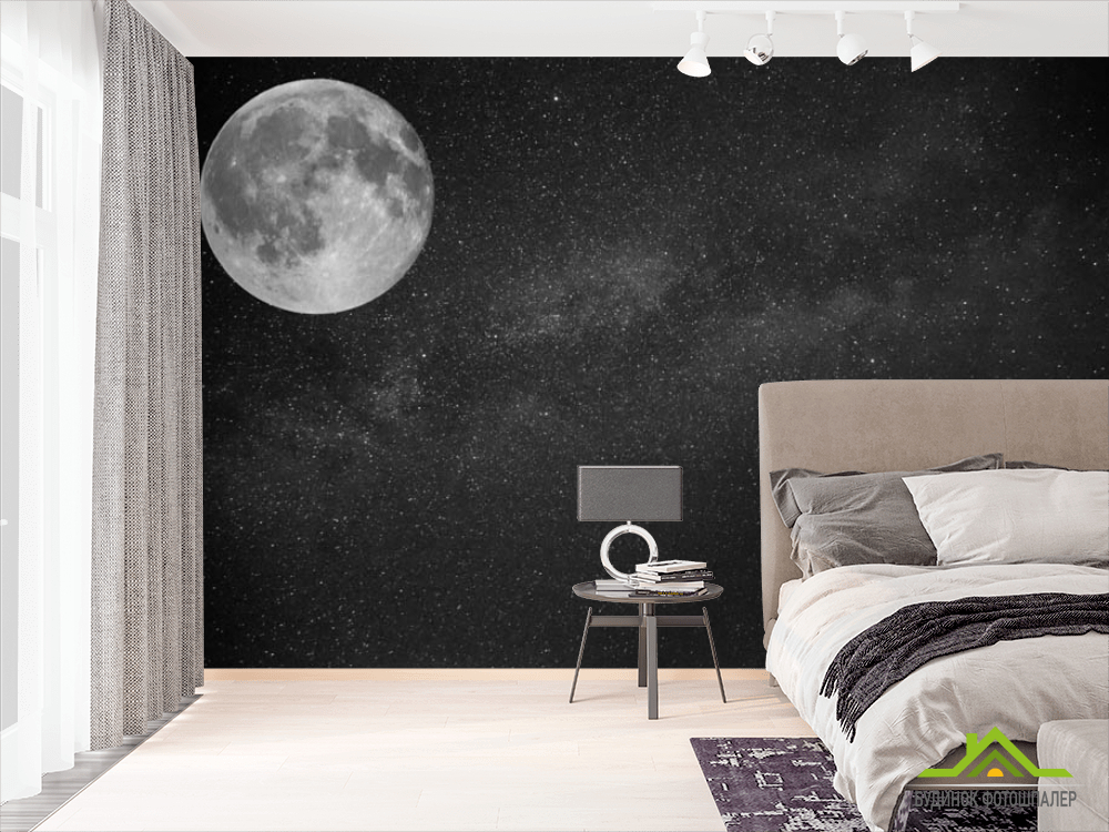 Фотообои луна