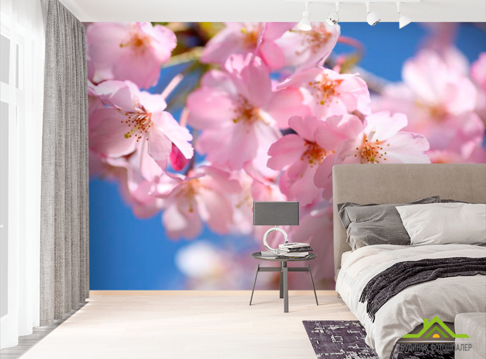 выбрать Фотошпалери Квітуча садова вишня Фотошпалери Вишня на стіну