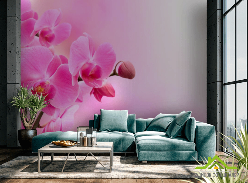 выбрать Фотообои Орхидеи розового оттенка Фотообои Орхидеи на стену
