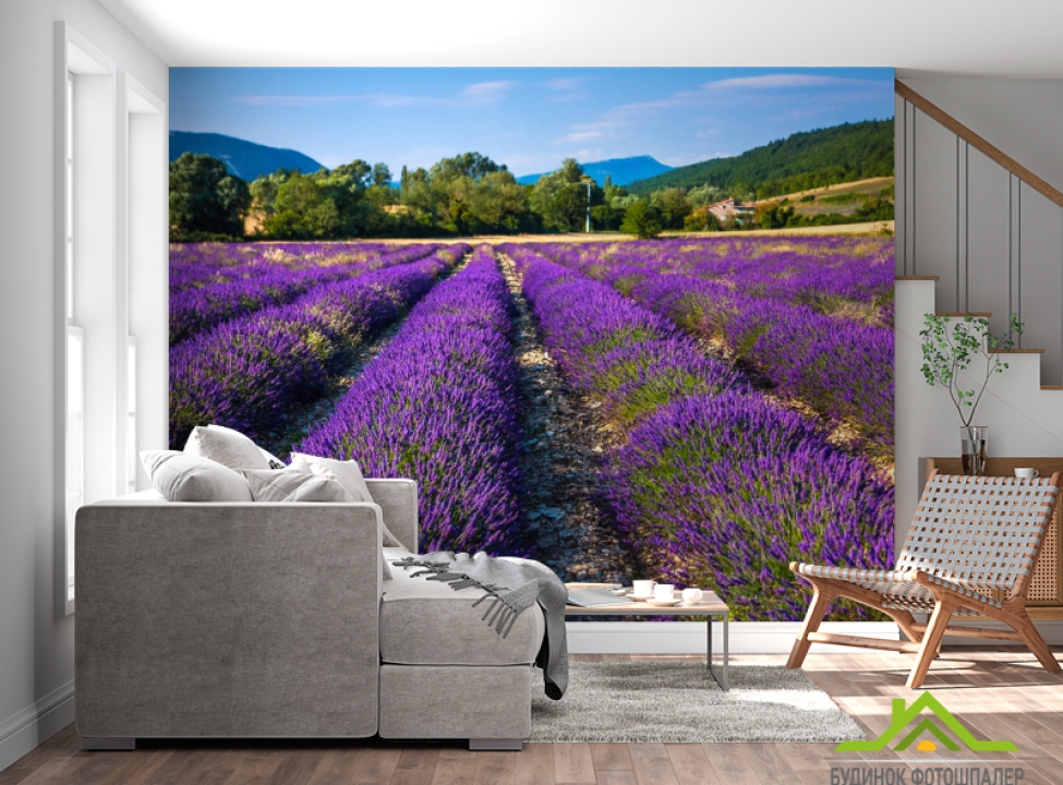 выбрать Фотообои поле цветов Фотообои Цветы на стену