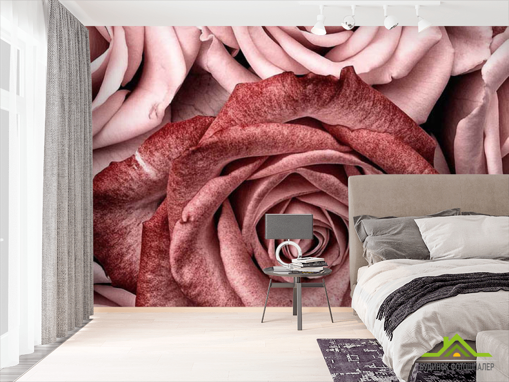 Фотообои Розы винного цвета