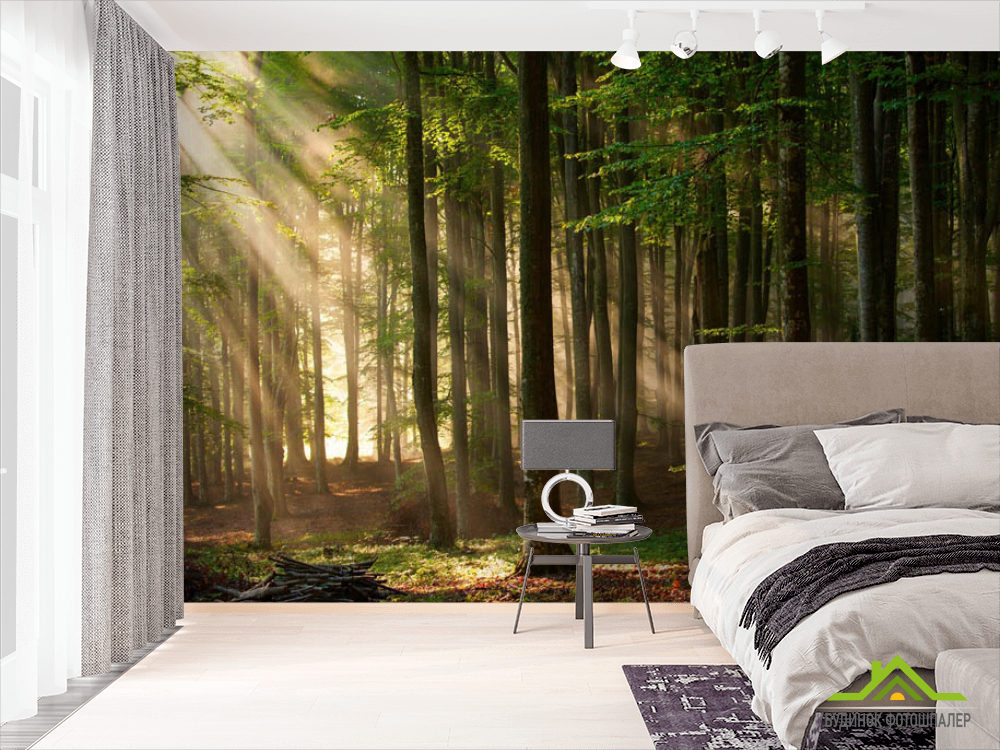 Фотообои Деревья