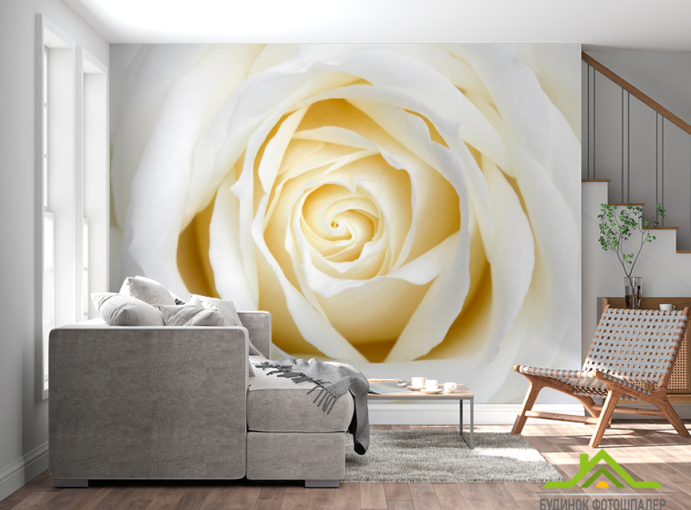 выбрать Фотошпалери Бежево-біла трояндочка Фотошпалери Троянди на стіну