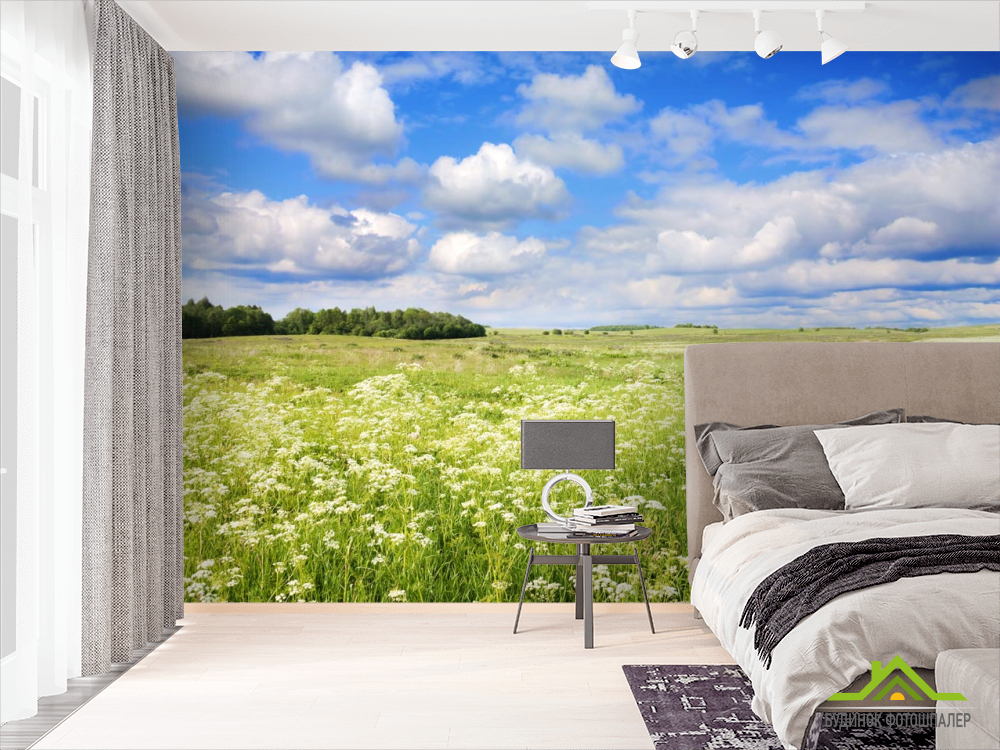 Фотошпалери полі