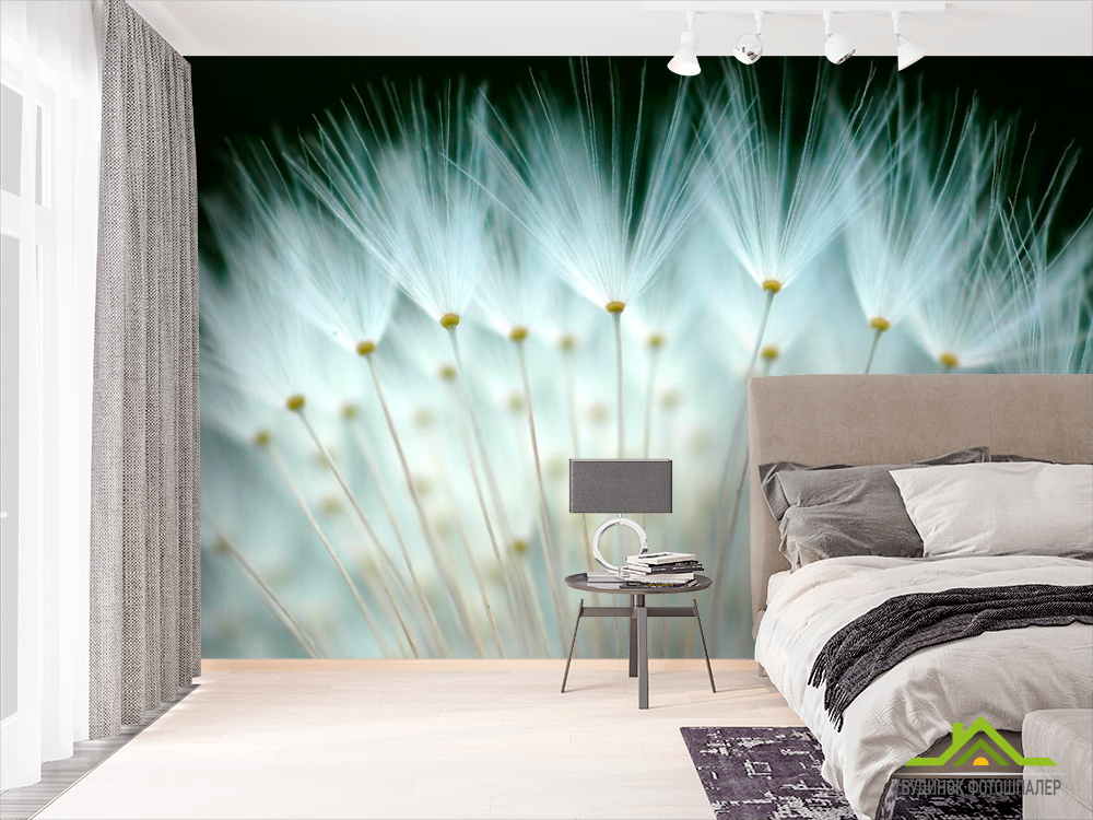 Фотообои Пушок одуванчиковый