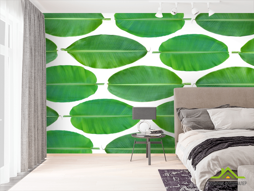 Фотошпалери листя банана