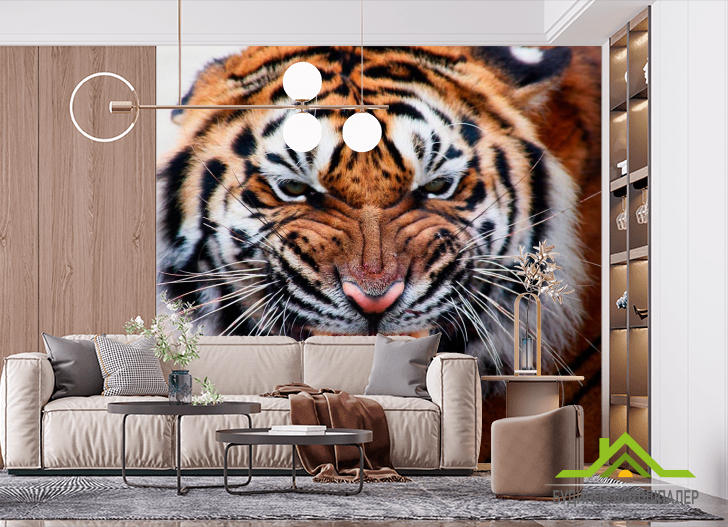 Фотообои Грозный оскал тигра