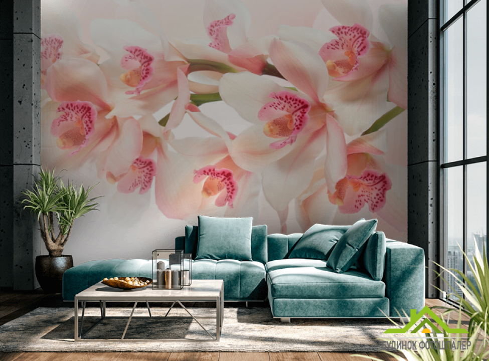 выбрать Фотошпалери Квіти Фотошпалери Квіти на стіну