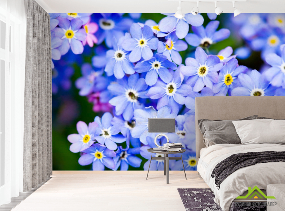 выбрать Фотообои Весенние голубые цветы Фотообои Цветы на стену