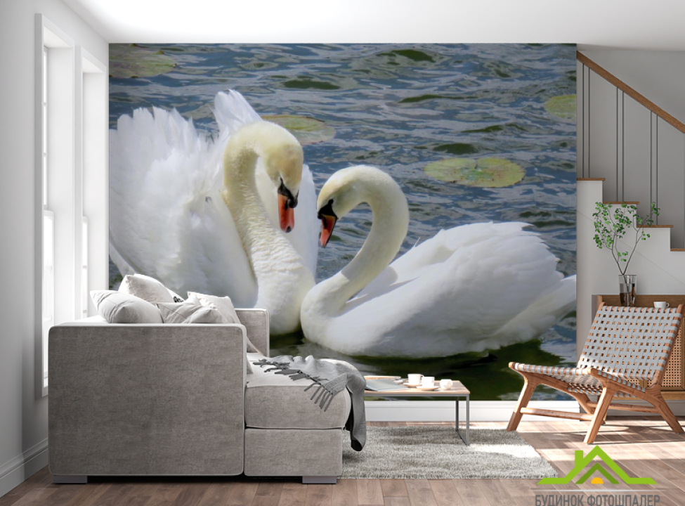 выбрать Фотошпалери два лебедя Фотошпалери Тварини на стіну
