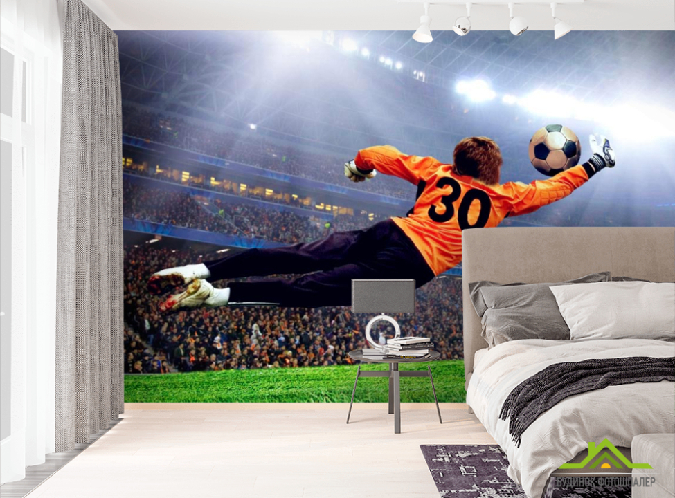 выбрать Фотообои Вратарь ловит мяч Фотообои Спорт на стену