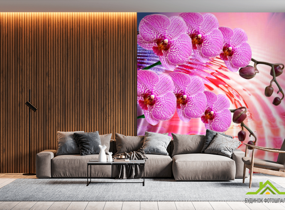 выбрать Фотообои Сиреневые распустившиеся орхидеи Фотообои Орхидеи на стену