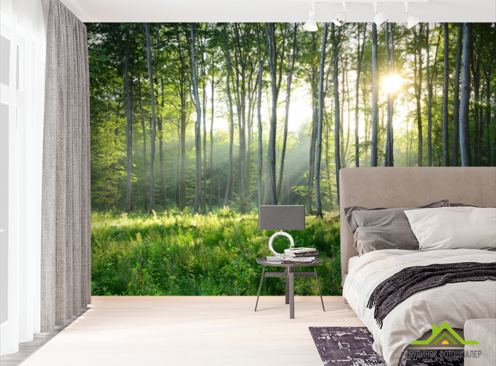 выбрать Фотошпалери ліс Фотошпалери різні на стіну
