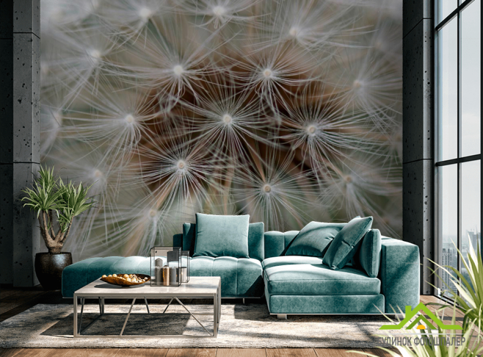 выбрать Фотообои Одуванчик Фотообои Одуванчики на стену