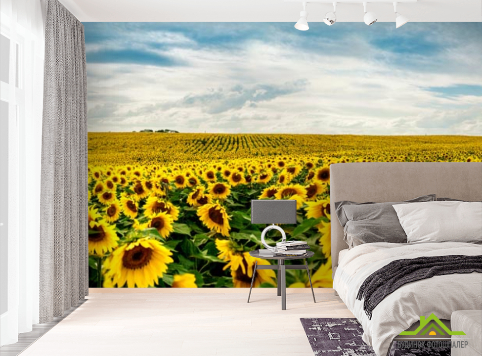 выбрать Фотообои большое поле подсолнухов Фотообои подсолнухи на стену