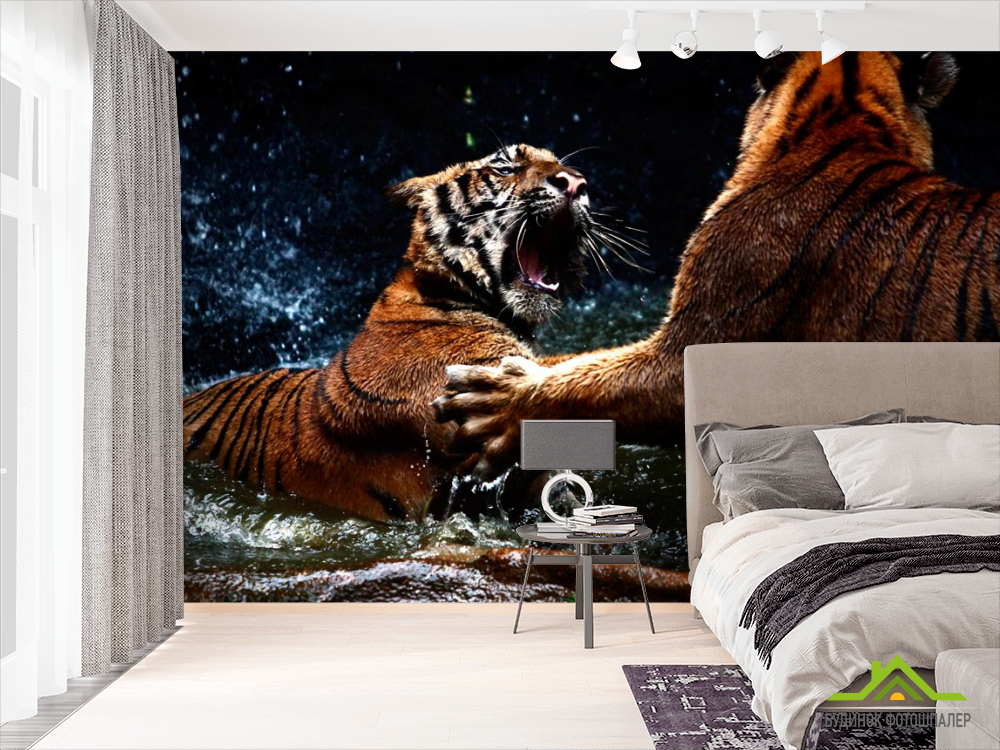 Фотошпалери Бійка тигрів