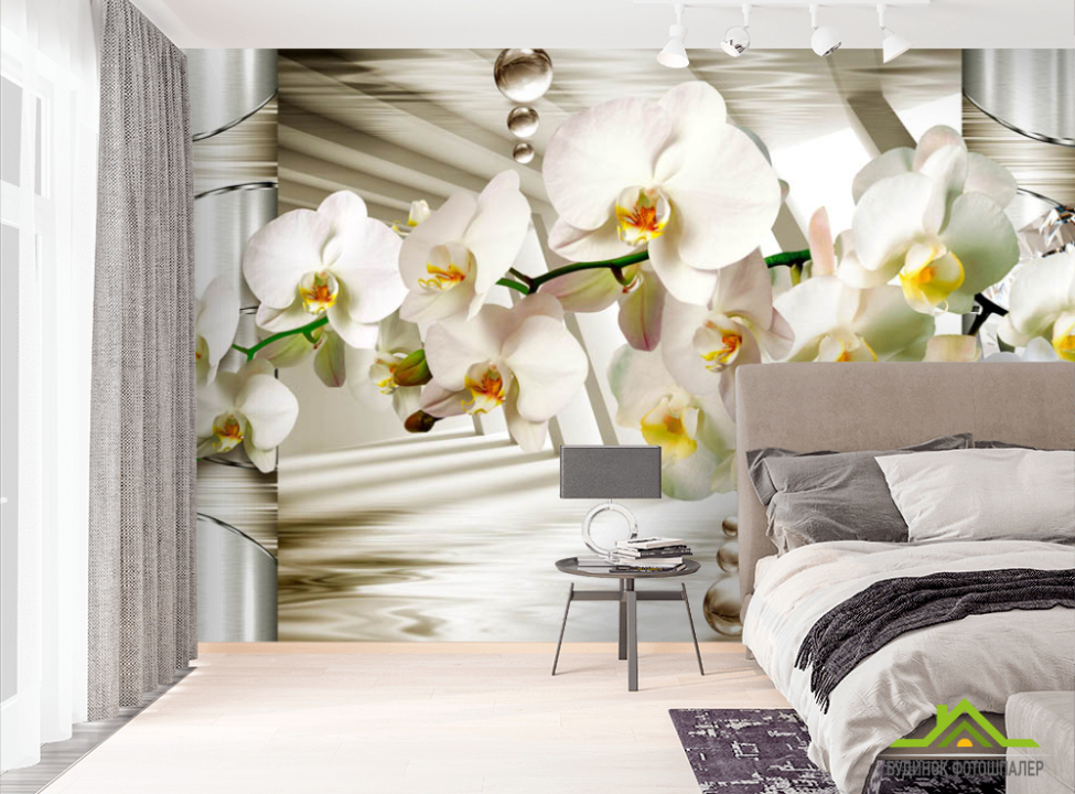 выбрать ФотообоиВетка орхідеї з камінням Фотошпалери Квіти на стіну