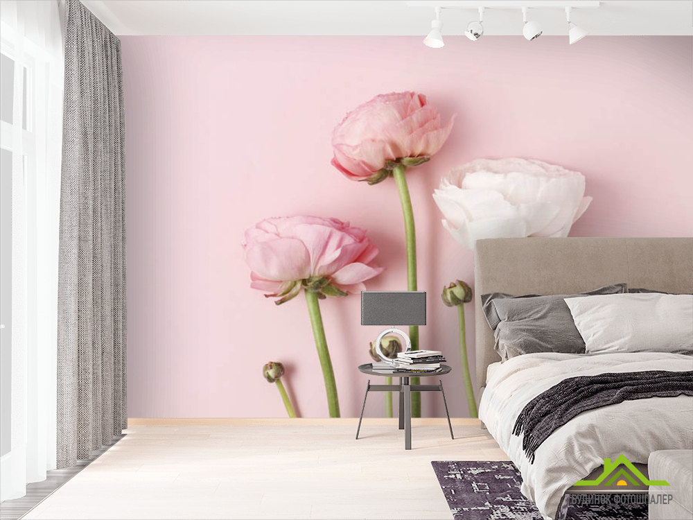 Фотошпалери Мінімалістичні рунункюлюсы