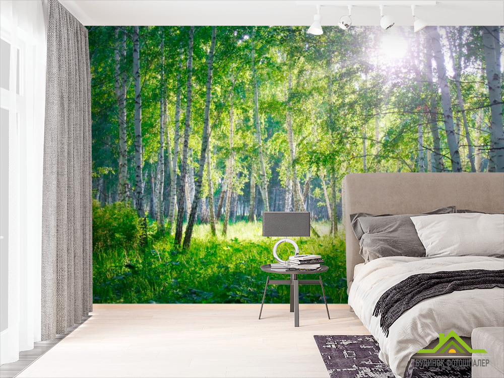 Фотошпалери Молоді берези