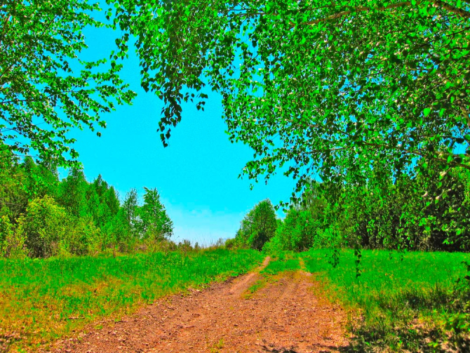 Фотошпалери Зелений простір