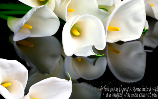 Фотообои 3D цветы