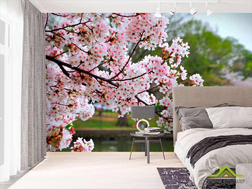 Фотообои Цветущий вишневый сад